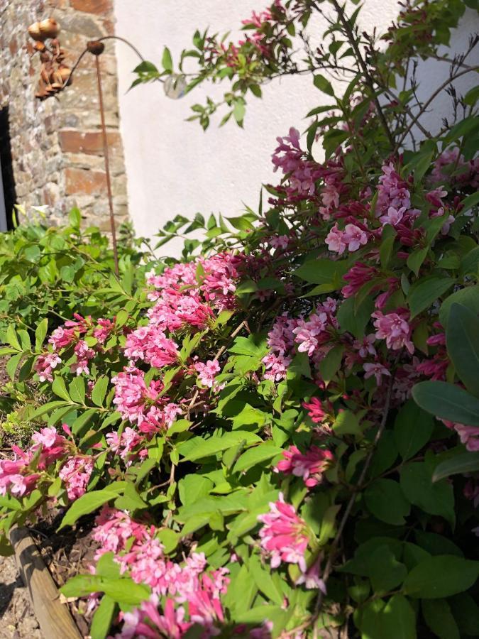 La Cotentine Maison D'Hotes (Adults Only) Saint-Pair-sur-Mer Exterior photo